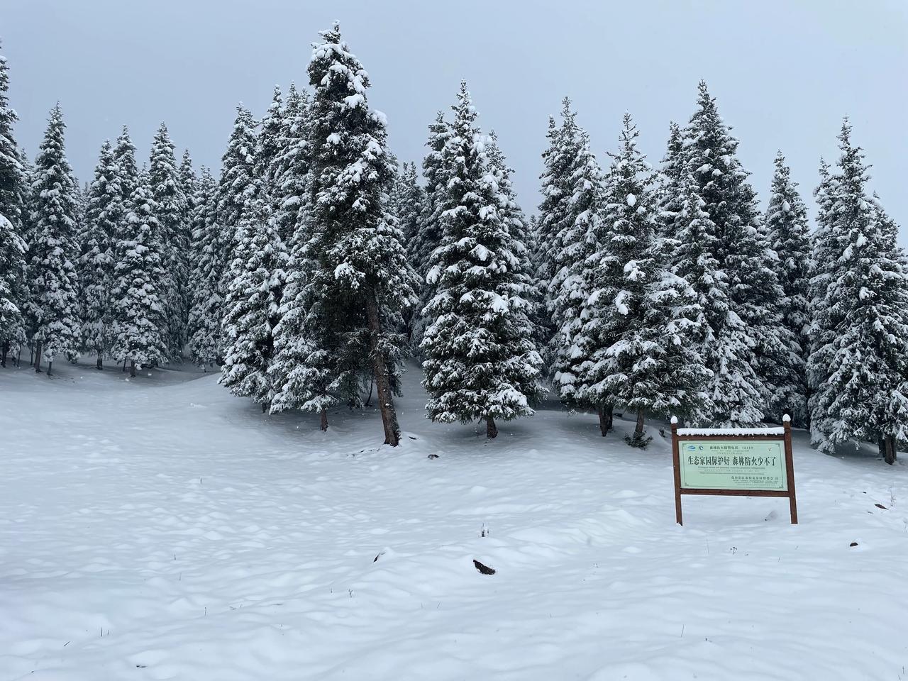 美丽新疆！独库公路雪景！