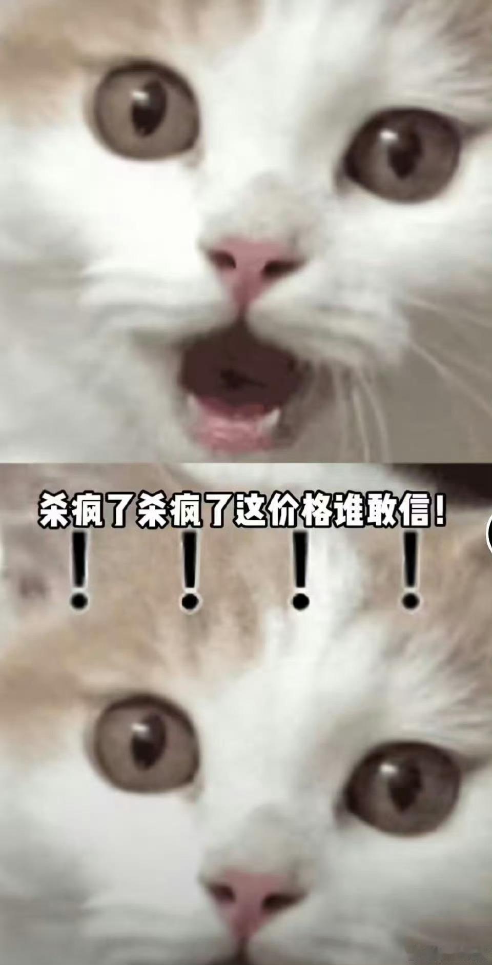 北京车主真香警告双十一卷到汽车了 听说双十一买车超划算？这波福利太顶了，错过真要