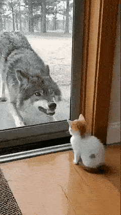 吓不死你[泪奔][泪奔][泪奔]