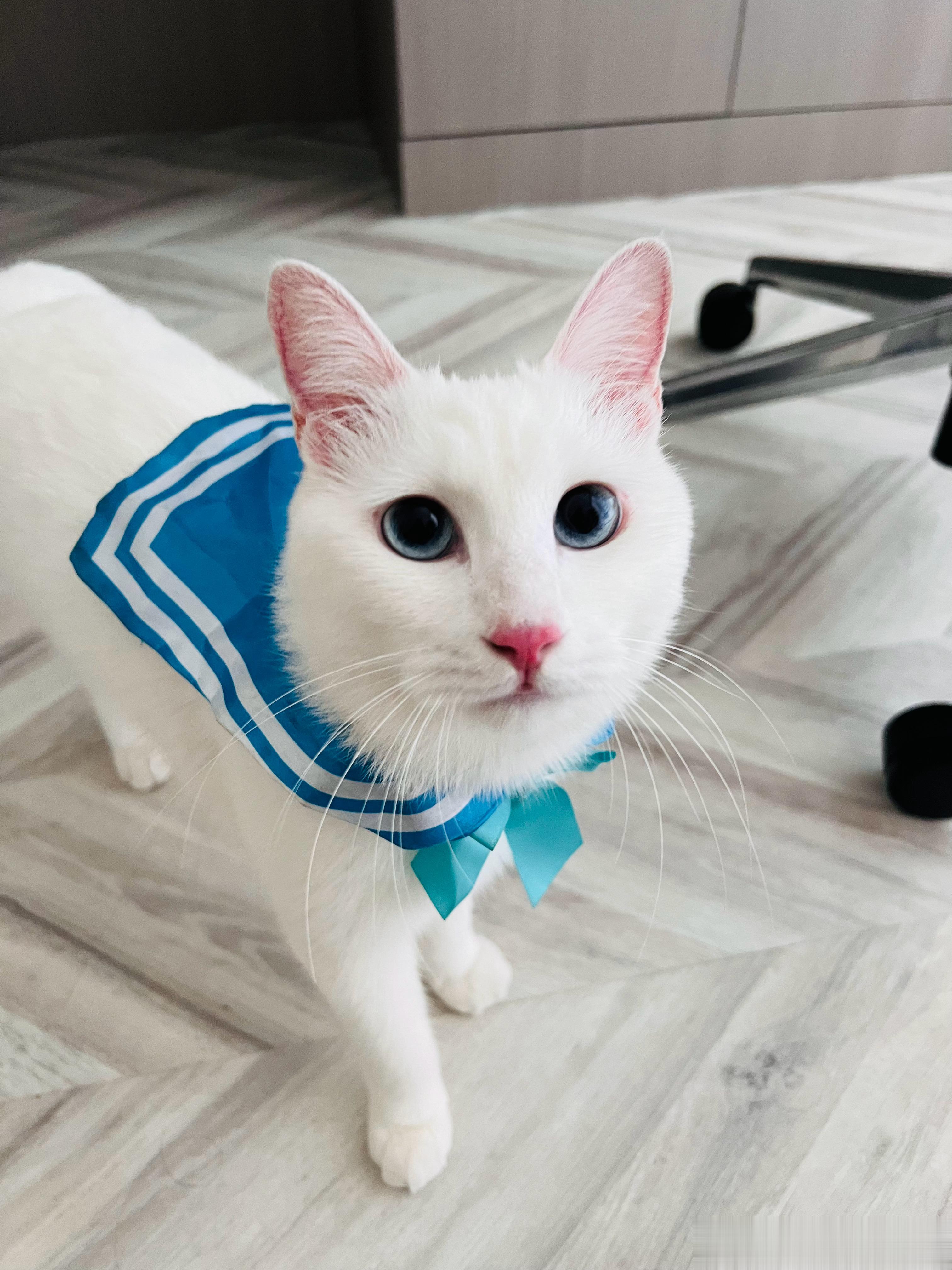 #鱿仔# 也不是就那么开心表情包奉上 ​​​