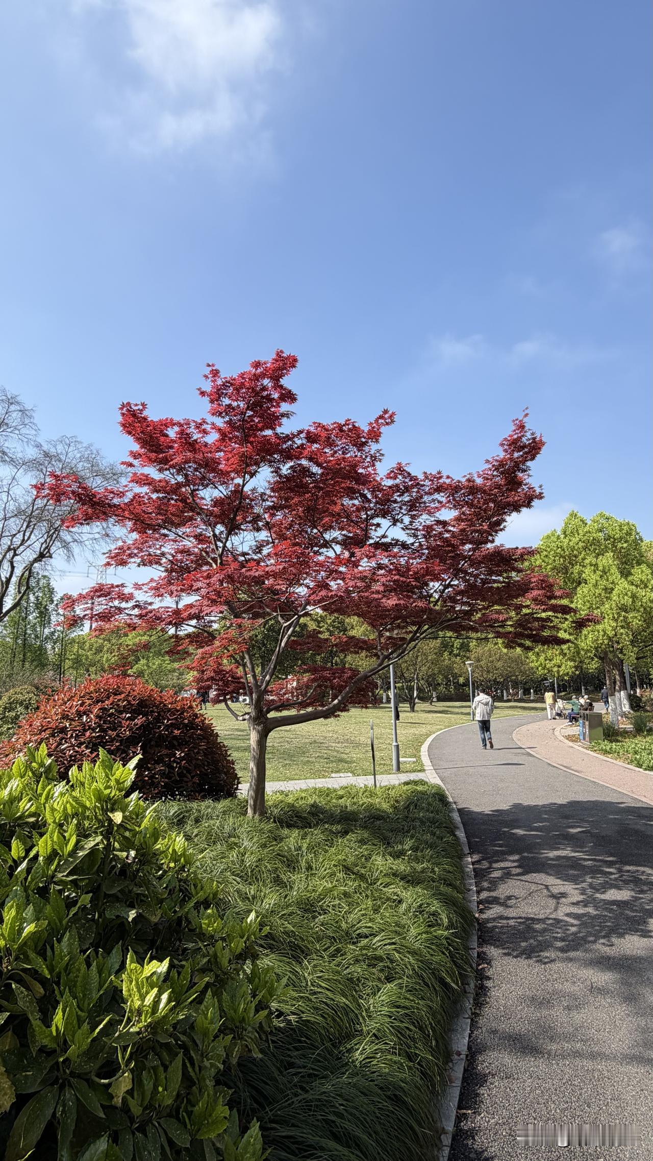 去年夏天，在一个景区门口买门票，孙女得知她爸爸妈妈的门票要比我们的贵时，她的一句