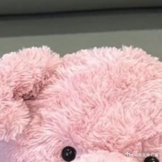 但愿日子清净，抬头遇见满眼温柔壁纸壁纸手机壁纸高清壁纸无水印朋友圈背景图