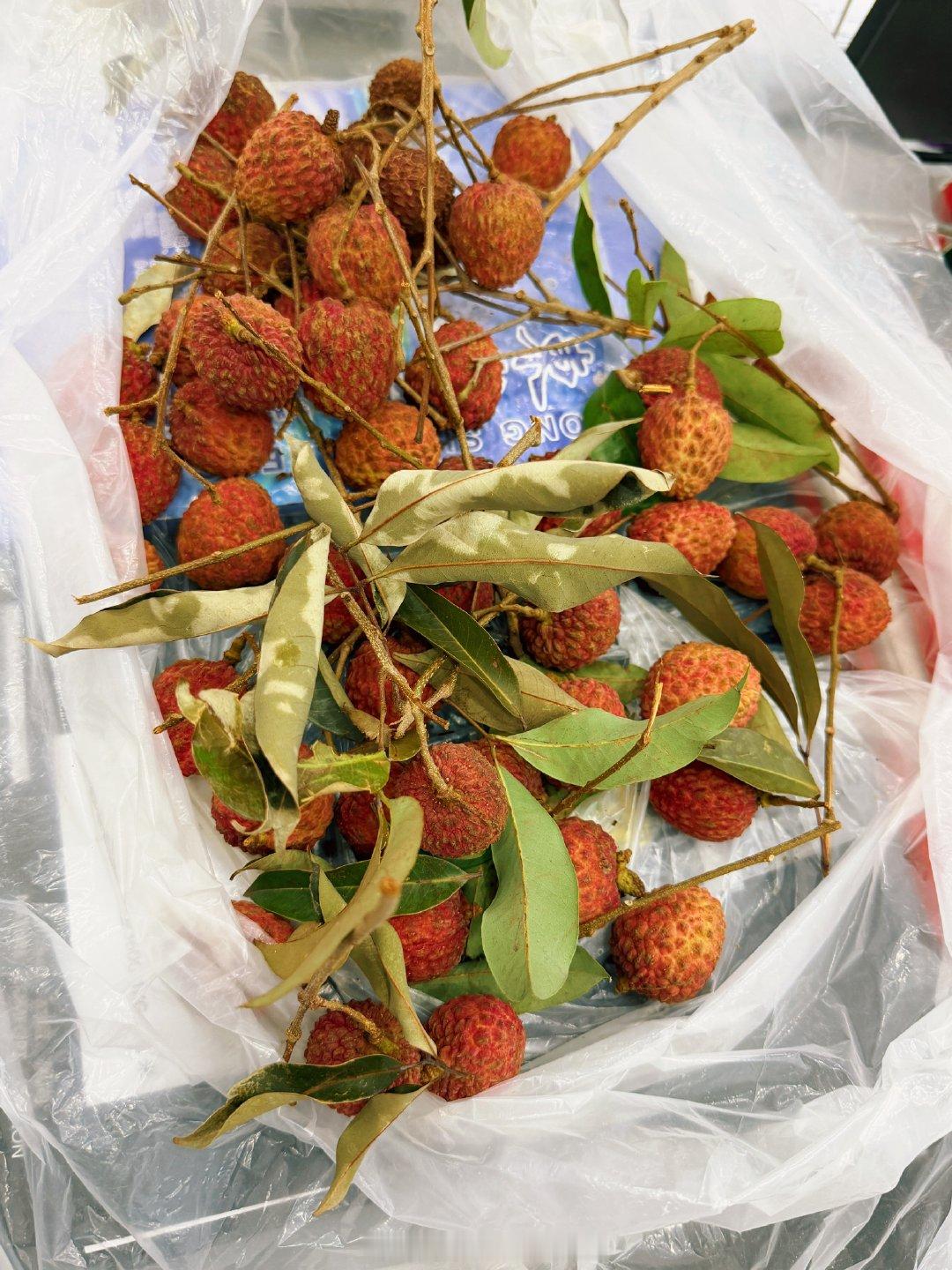 广东人顺丰发过来的荔枝好好吃啊好鲜好嫩好好吃啊啊啊 