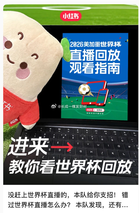新生代球星轮番斩获进球，全场目光聚焦C罗，41岁第六次征战世界杯，用赛场表现回应