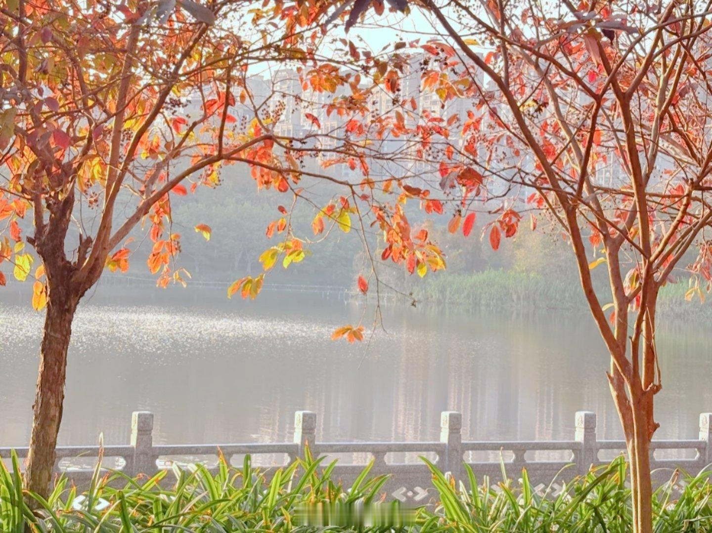 生活手记 梧州玫瑰湖公园，我愿称之为“城市写给打工人的情书”💌    今天误打