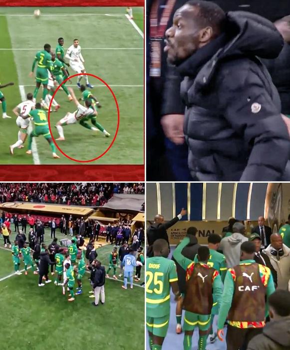 非洲杯决赛上演惊天魔幻一幕！面对不公，塞内加尔主帅帕普·蒂亚乌竟要求全队退赛，差