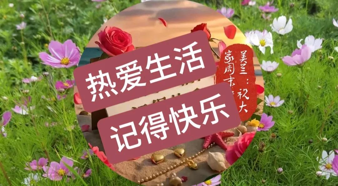 我的宝藏兴趣花草从来不言，却以它们的美丽与芬芳，教会了我们生活的真谛；愿我们都能