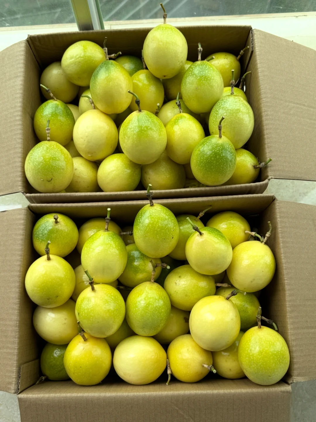 蜂蜜香甜百香果，9.9一箱亏米试吃。