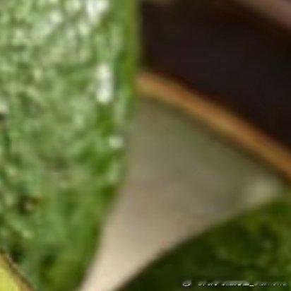 1000 牛油果的种植方法：1、选地整地：牛油果喜爱生长在土壤层浓厚、肥效好的地