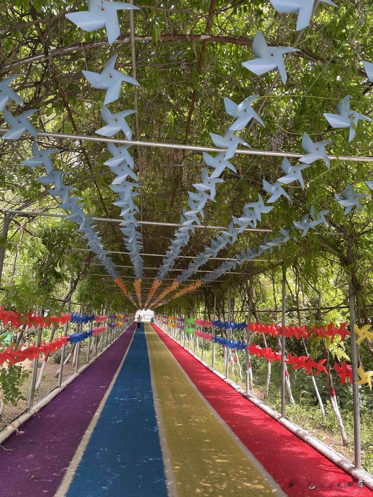 走进这条风车长廊，才懂什么是治愈人间✨

偶然撞见这条藏在绿意里的风车步道，真的