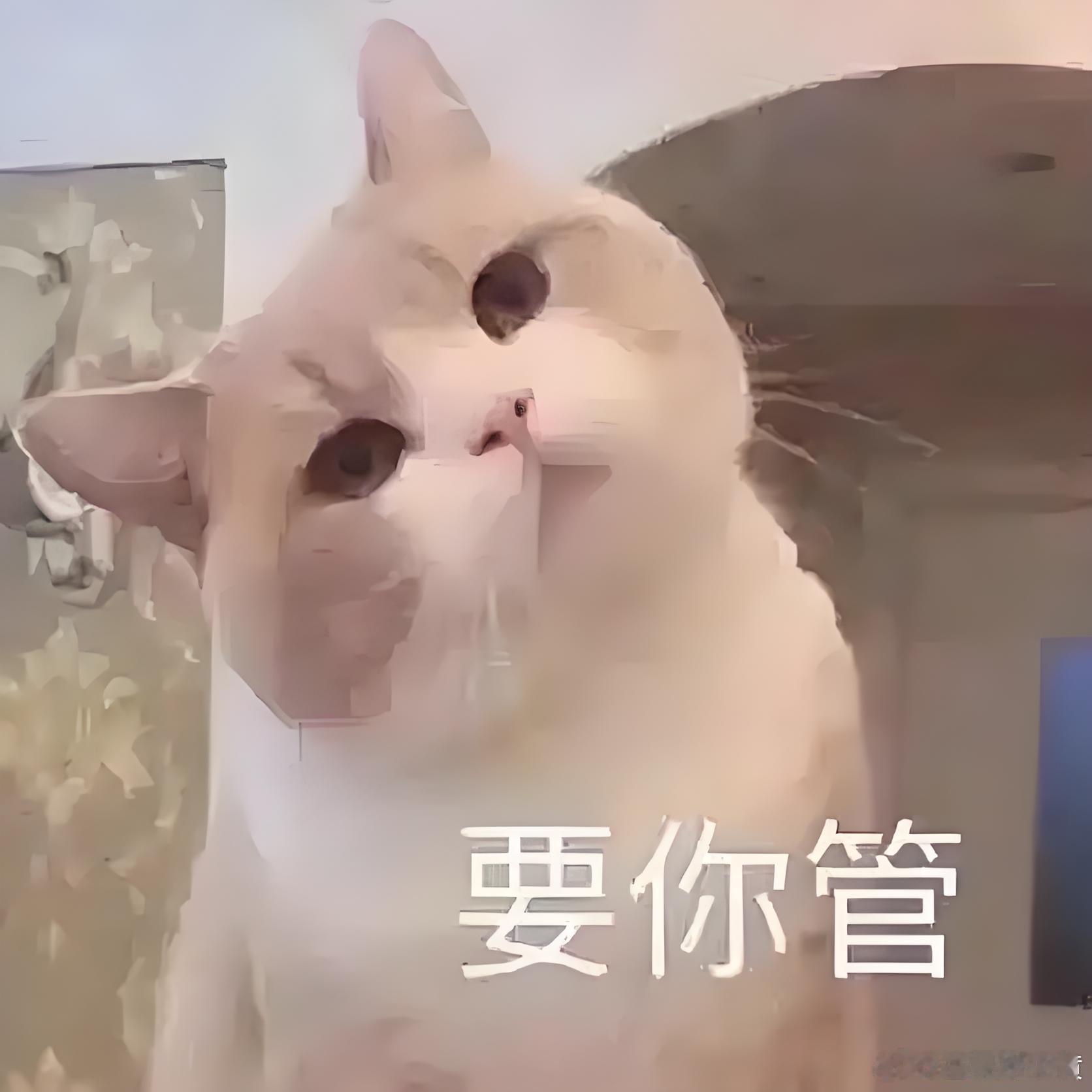 冉莹颖11岁儿子身高136 别人妈妈担心自己孩子身体，医生也建议可以治疗，一堆人