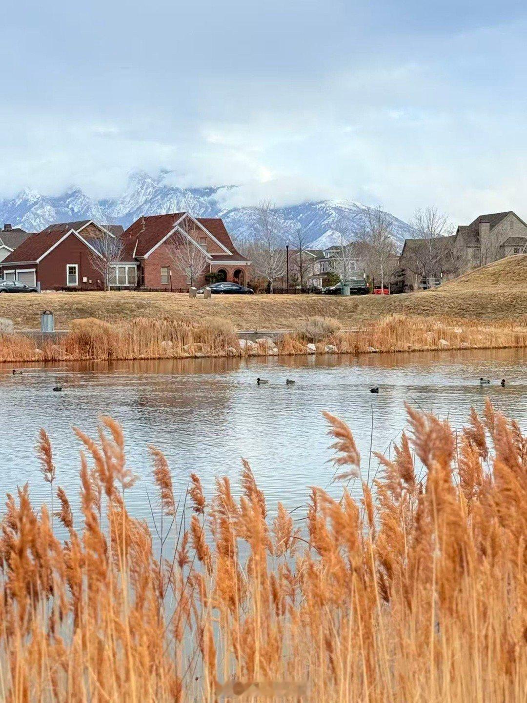社区的冬景 乖妈摄影 