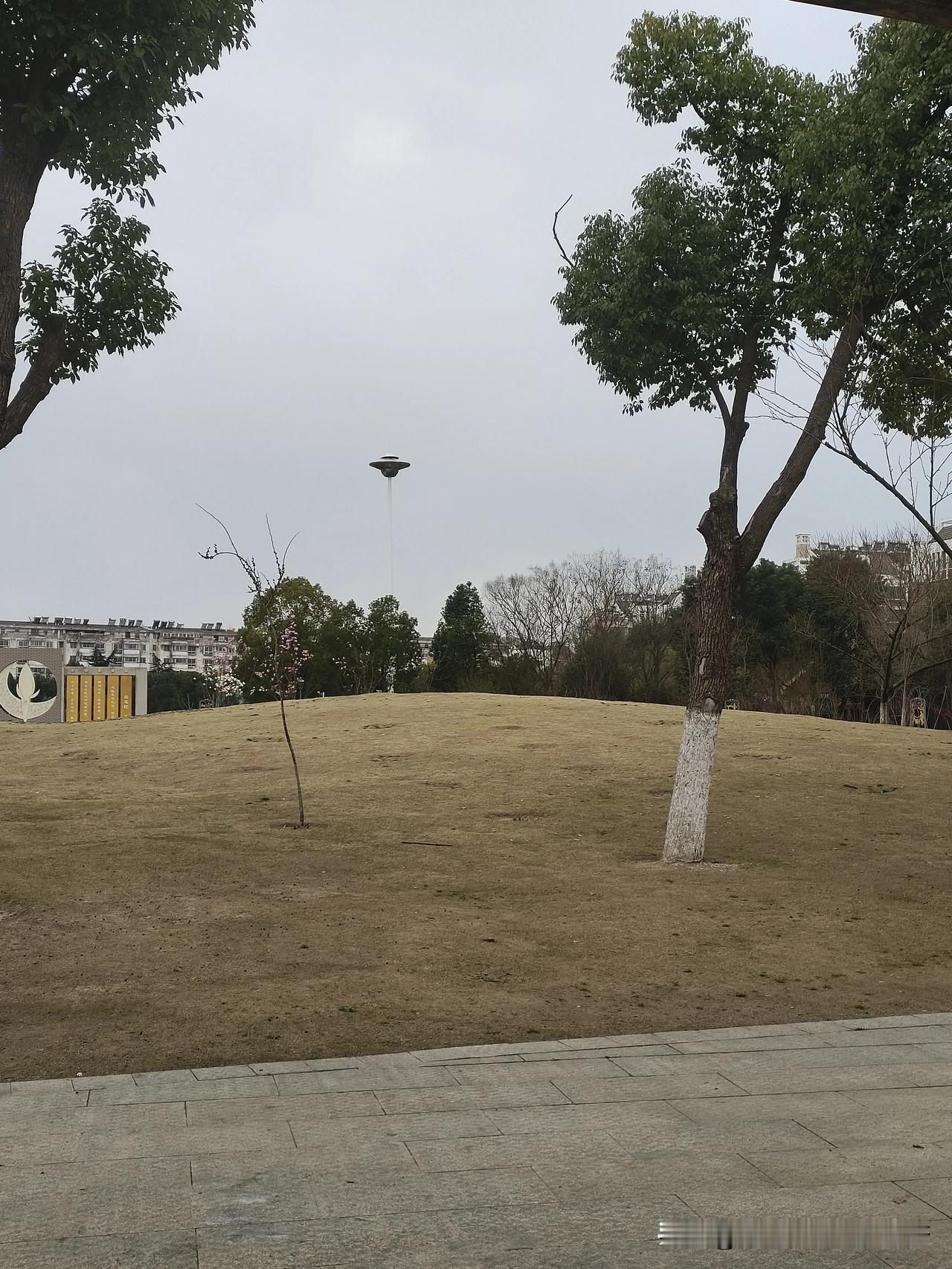 我去，这是啥？我是不是拍到UFO🛸了？我的天啊，快看，快看，有外星人👽。