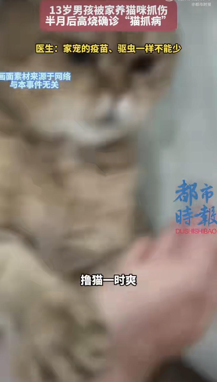 13岁男孩被猫抓出"硬疙瘩"，发烧39.5度!医生:这病入夏高发，千万别不当回事