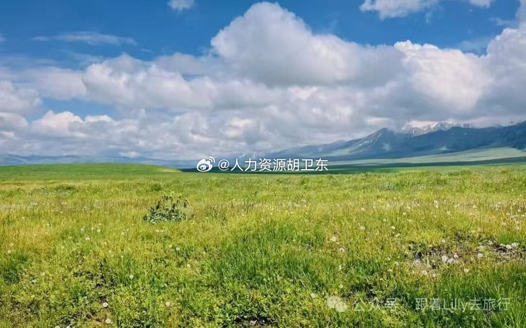 分享图片 