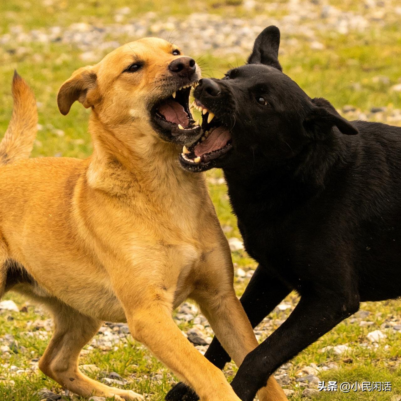 很好！很好！继续！[偷笑]
据今日俄罗斯（RT)报道，当地时间3月26日，美国总