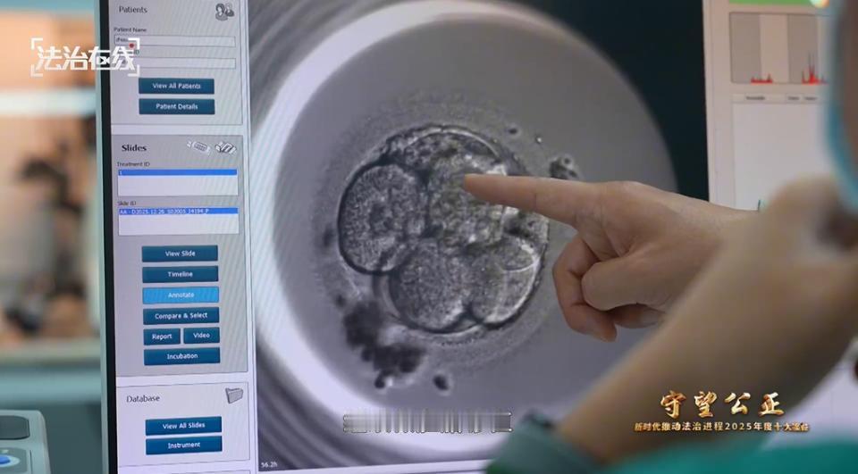 《29岁丈夫工伤离世，妻子用“冷冻胚胎”延续生命！法院判决：孩子每月领抚恤金至1