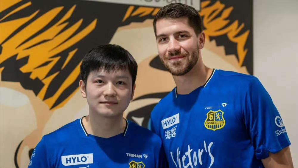 小弗说和樊振东当队友是年度高光   和樊振东当队友是什么体验？德国乒协年度采访，