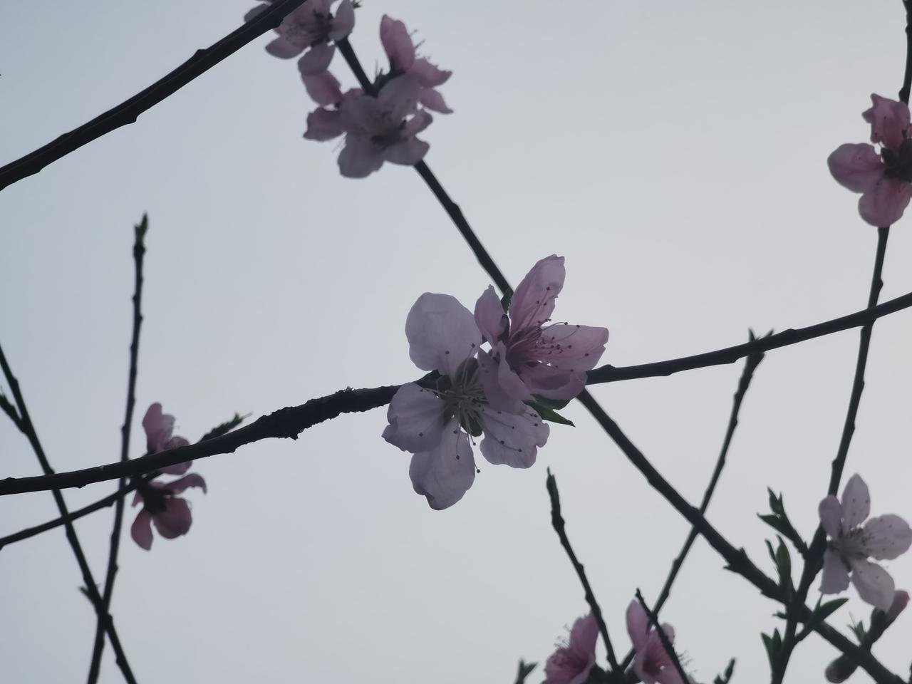当今人工智能在的风口上，资本青睐人形机器人，似乎一说实体经济就必须是机器人和人工