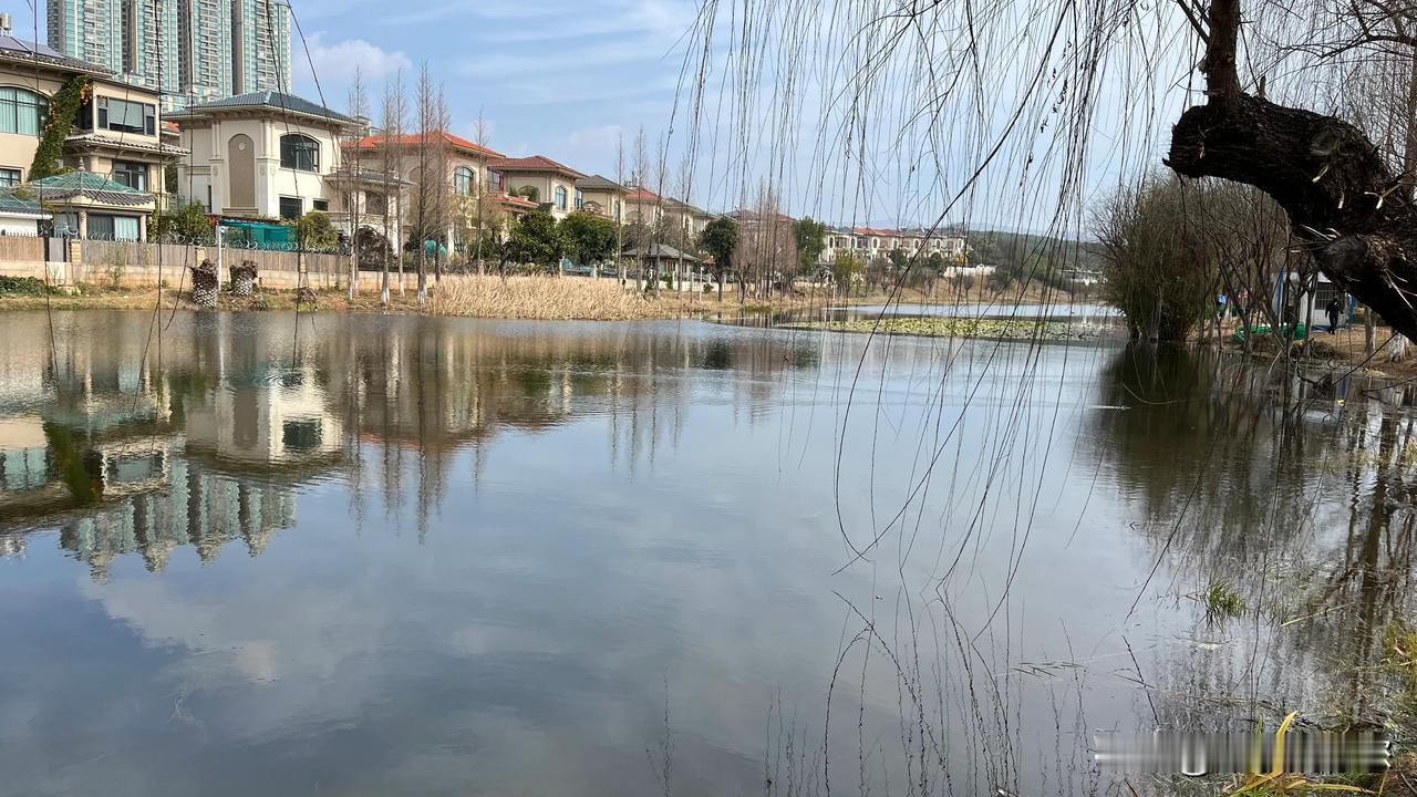 虽然恒大出了问题，但是，恒大金碧天下这个项目，还是无可比拟的。

首先，她独特的