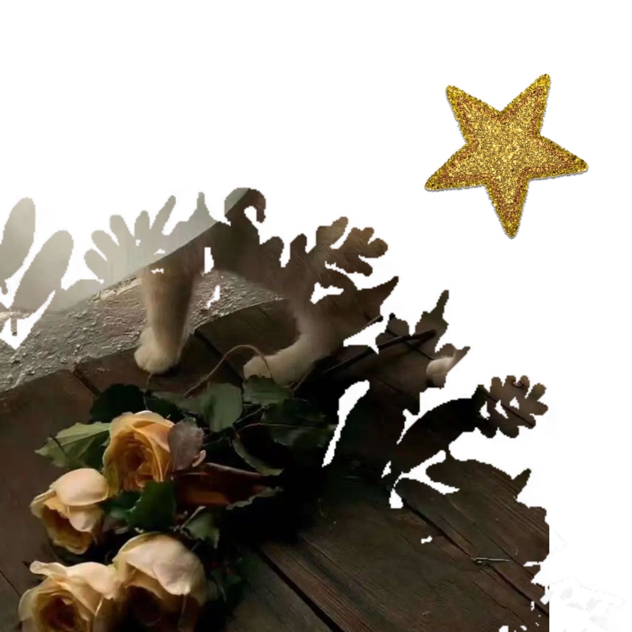 :¨·.·¨:💜ིྀ ୨୧ 💚ིྀ `·.. 今`·... 日`·.. 糖: