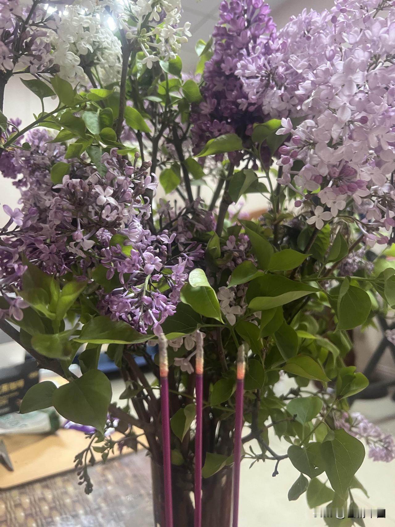 清明之歌（2026年清明抒怀）
——郭赋林（釜麟）


风，悠悠擦亮了苍穹。
云