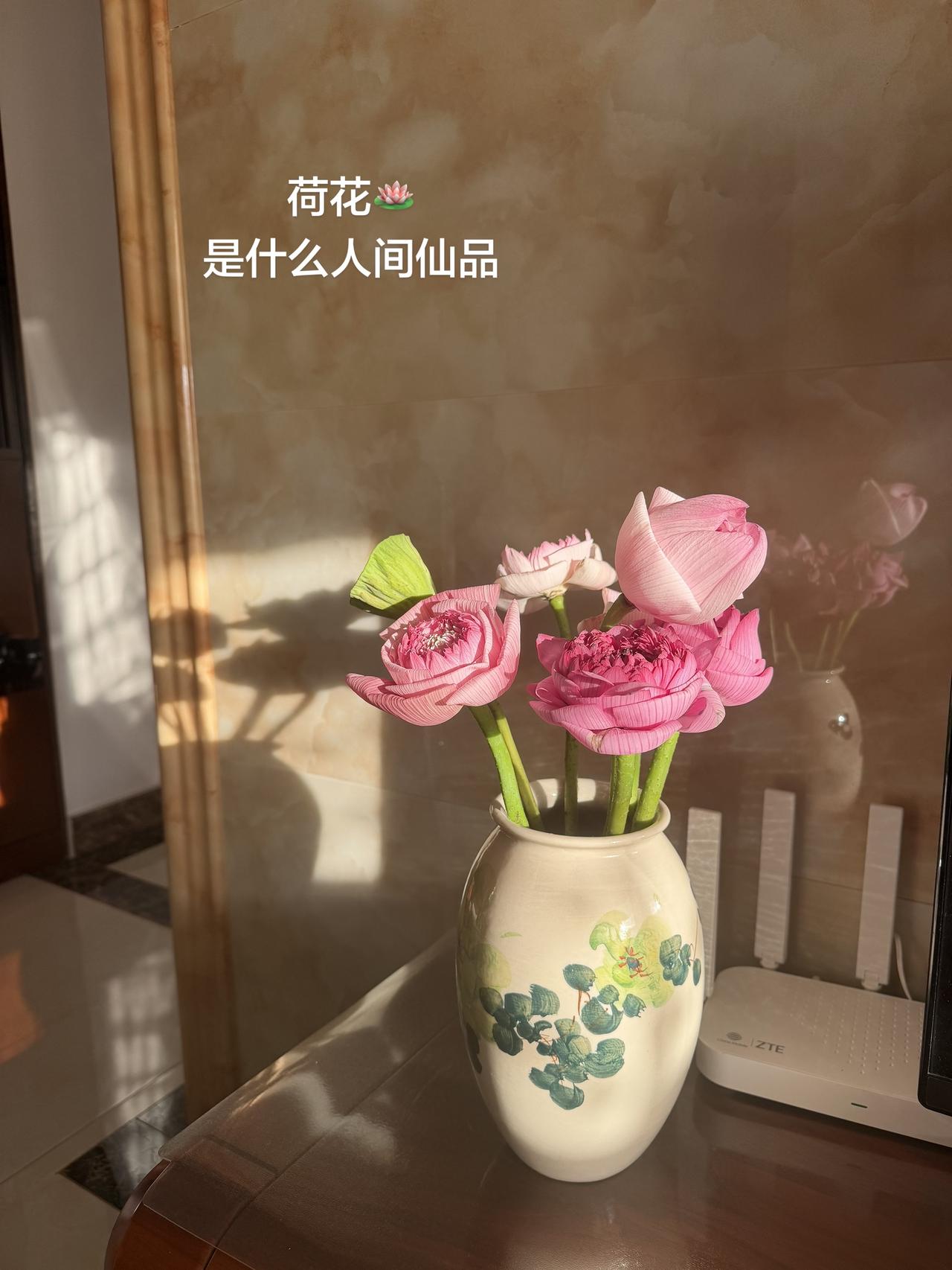 一个明媚的午后，阳光正好洒在荷花🪷上，无滤镜的美，水里加些冰块🧊真的可以多放