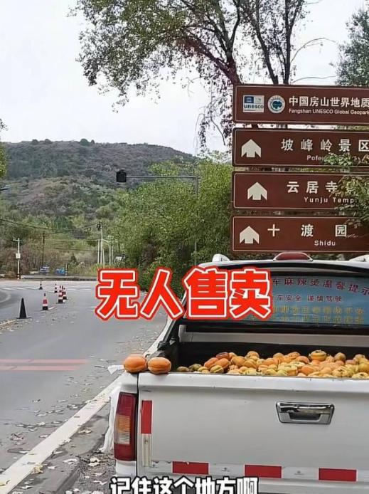 “这招绝了!” 北京，一名男子家里柿子太多，活也多，没空看摊，直接上山摘了一车柿