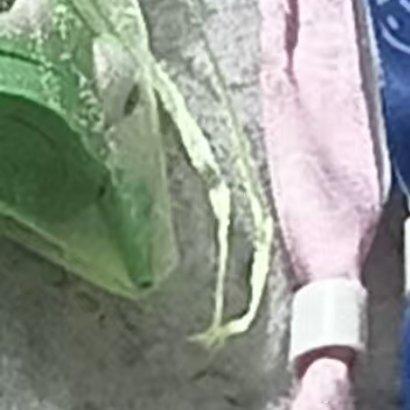 33.生活如果不宠你，更要自己善待自己。这一生，风雨兼程，就是为了遇见最好的自己