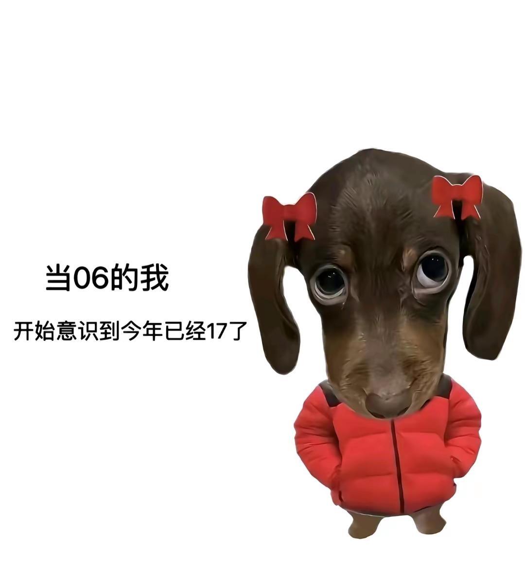 0606。梗图 冷知识科普 梗图挑战 科普冷知识