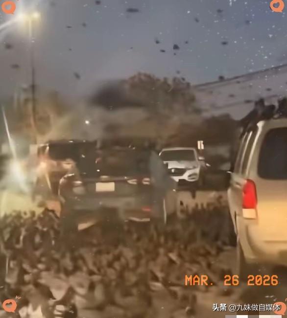 3月25日傍晚，以色列首都特拉维夫的街头聚集了大群的乌鸦。在以色列人的认知里，乌