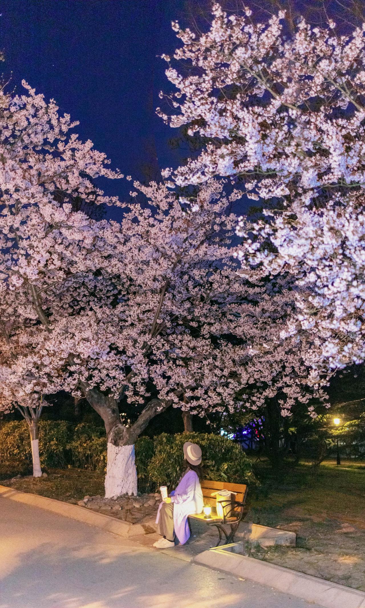 “春天没有方向，春天只顾花开”
之前还在写类似不要去中山公园人挤人发现小众赏樱地