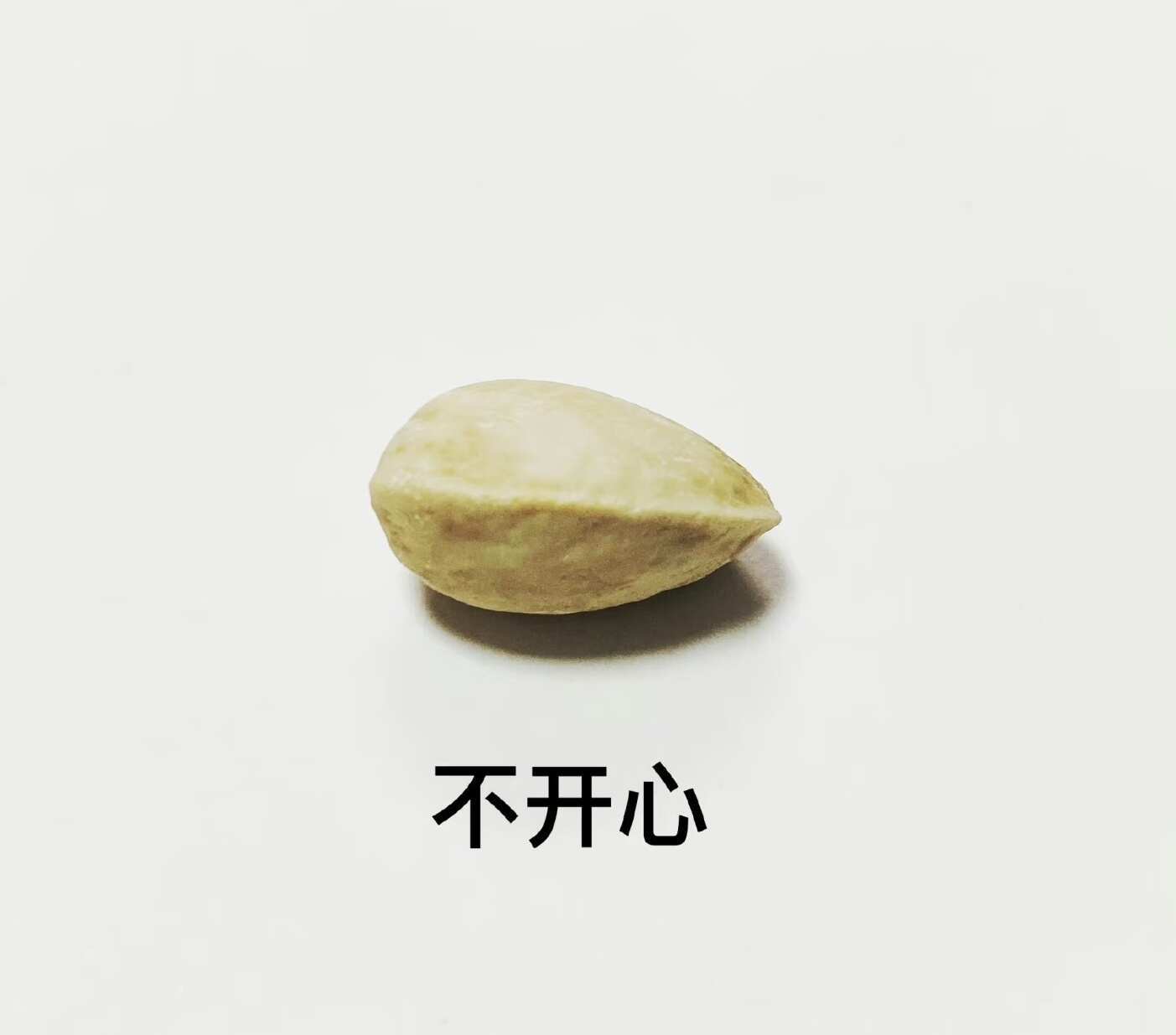 神经兮兮的开心果哈哈哈哈 