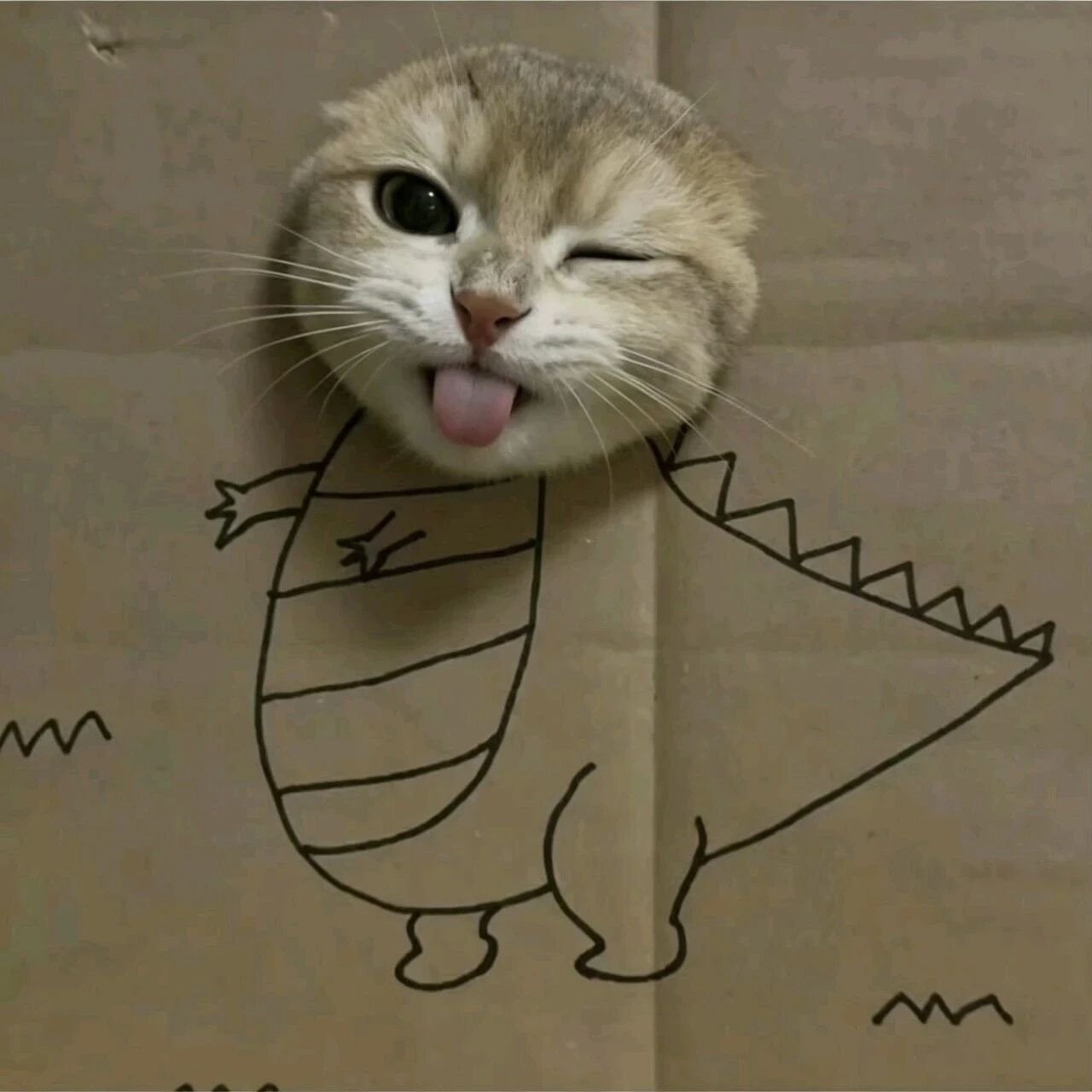 贺鑫隆 ​​​