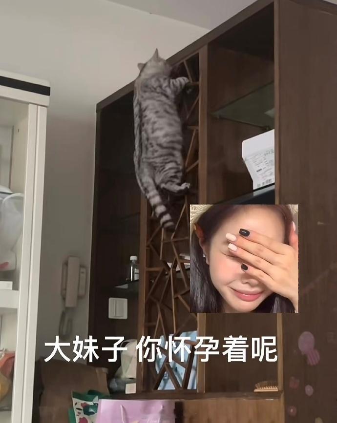 猫:只有强者才配成为我的孩子哈哈哈哈哈 ​​​
