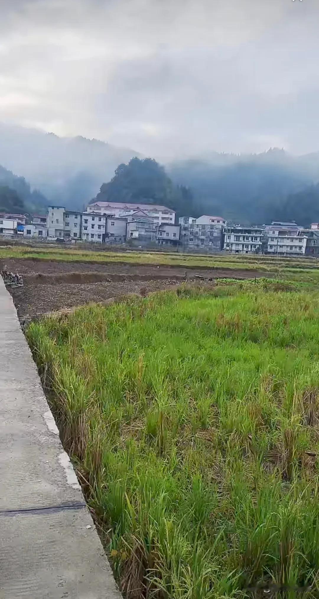 #上联：清风不问人间事，邀你对下联#
上联：清风不问人间事，
下联:   细雨滋