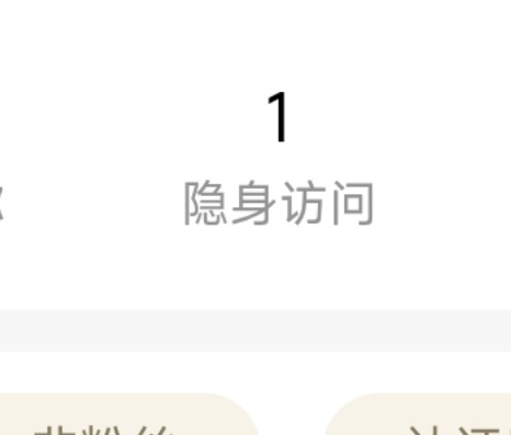 隐身访问，会是谁呢