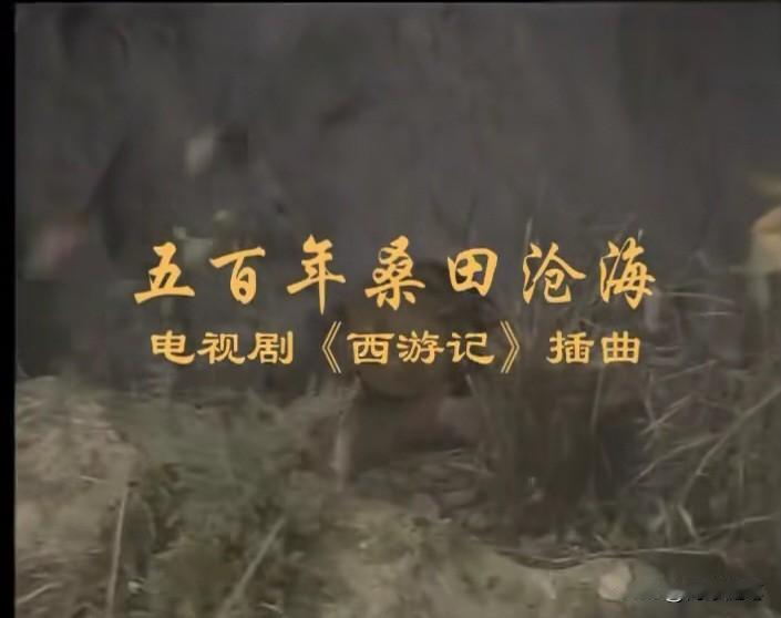 人到中年才听懂《五百年桑田沧海》，句句唱的都是自己……😂

小时候听《五百年桑