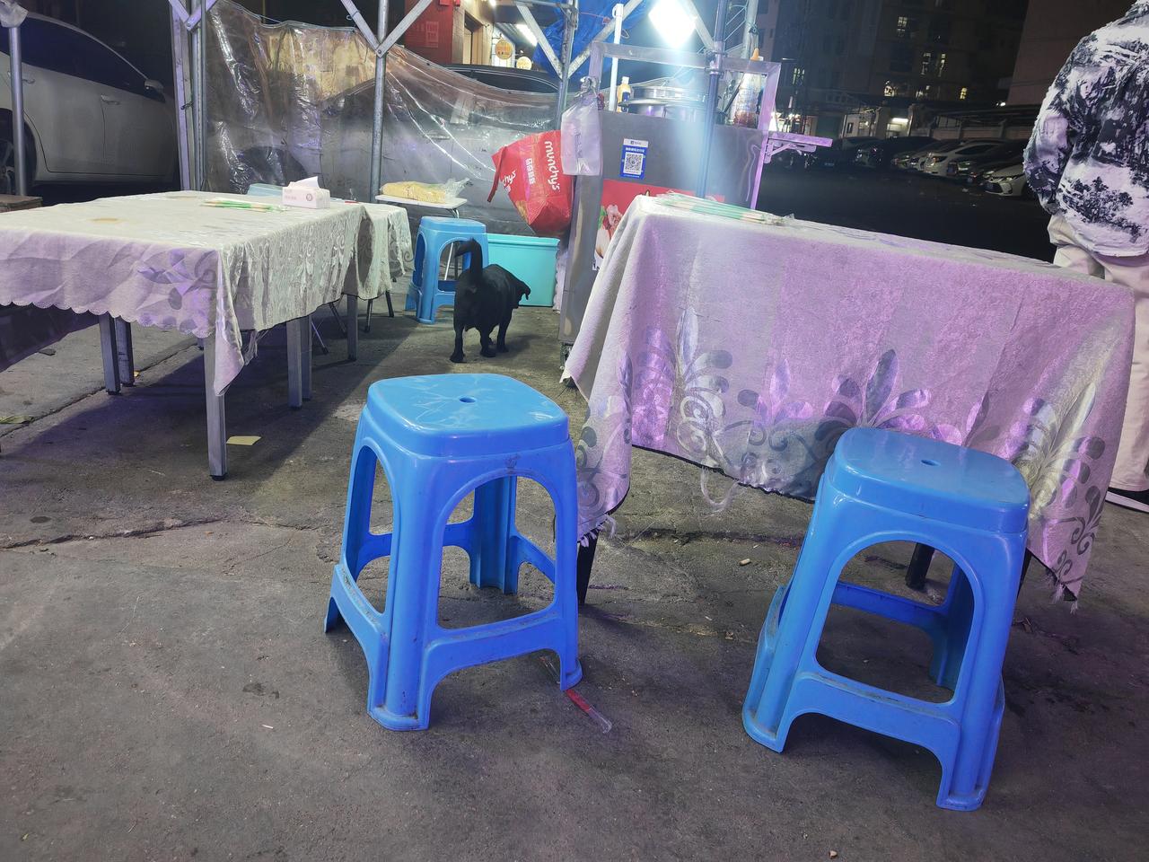 小狗狗又来找我了[呲牙][呲牙][呲牙]，每天都要从我脚下溜达溜达。转一圈又一圈