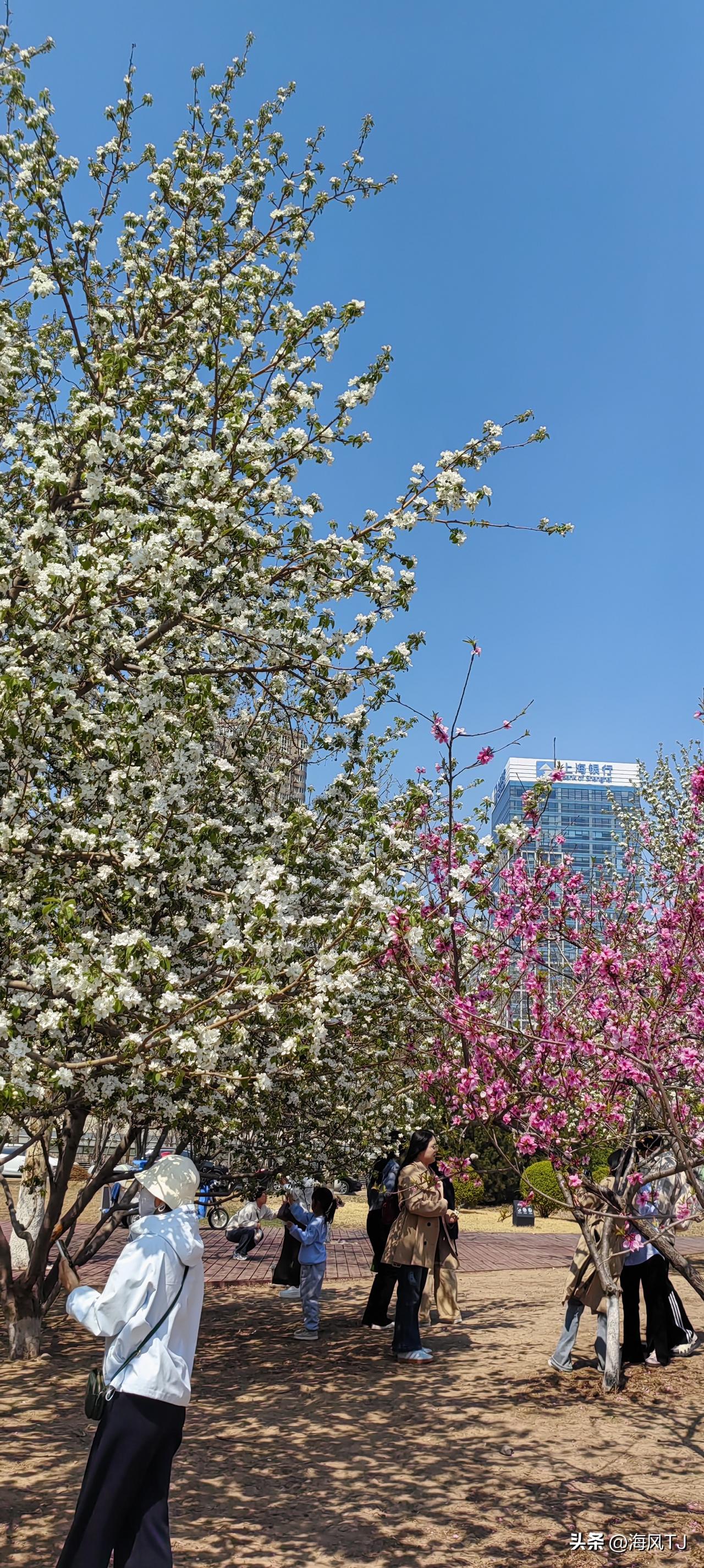 重返巅峰天津女排不用25年[加油]
        上海女排联赛战胜对手拿到了阔