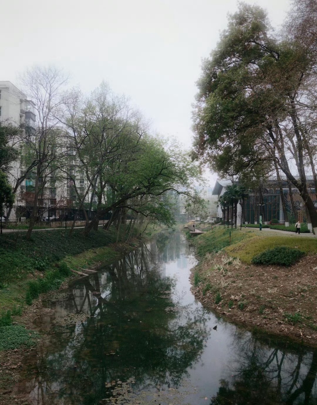 大家平时拍照喜欢加柔光效果吗