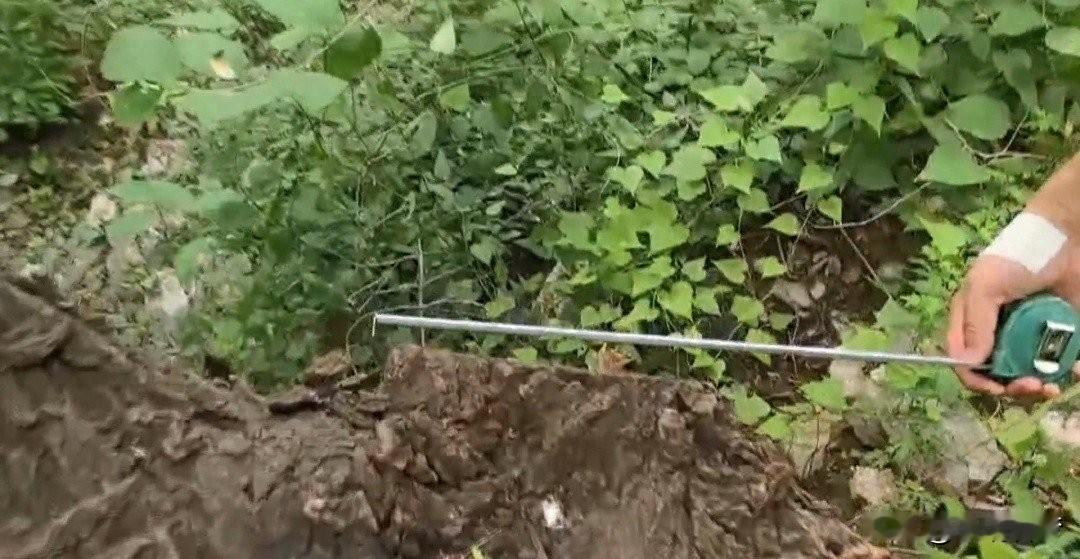 北京顺义北石槽的山林出事了。

民警巡山时发现大片树木被拦腰砍断，地上戳着几十个