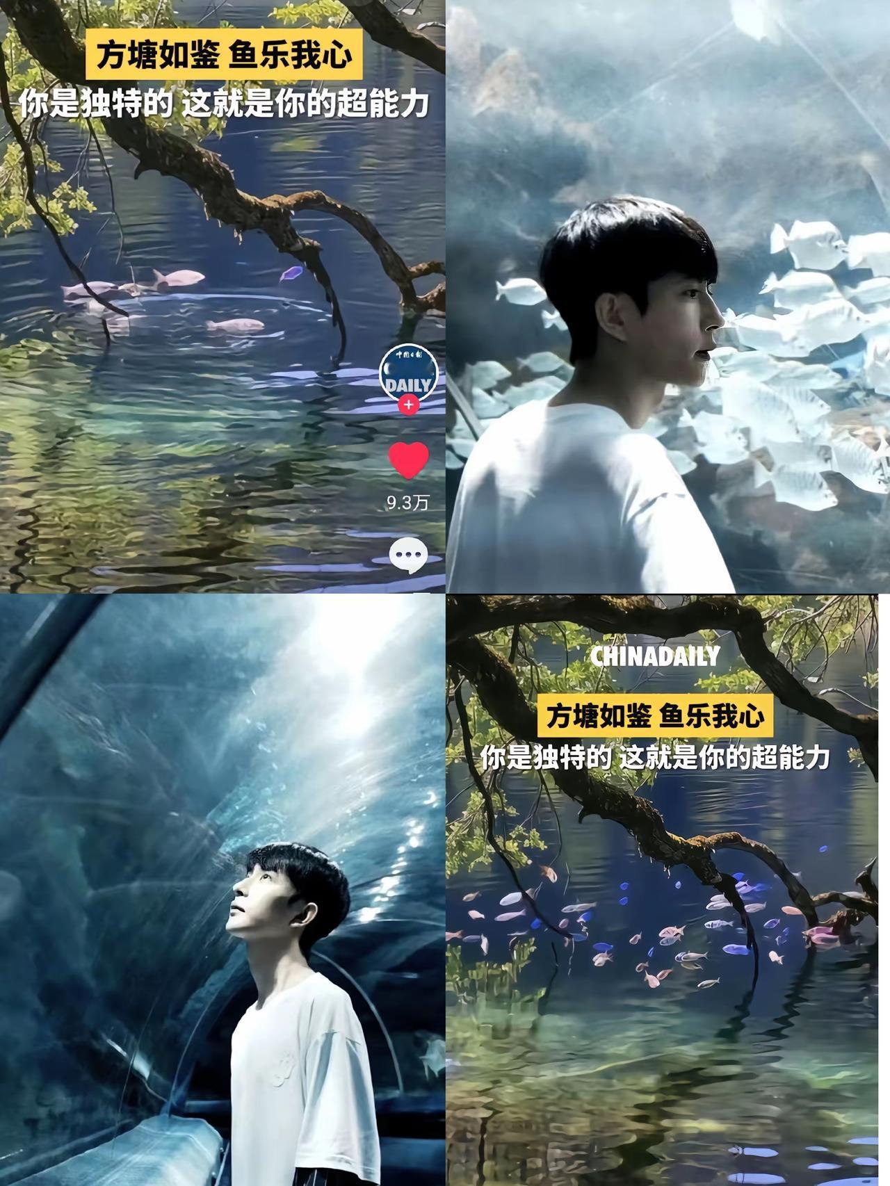 中国日报发文是：不要急，向内看。你是独特的，这是你的超能力！
这六个字，配上《大