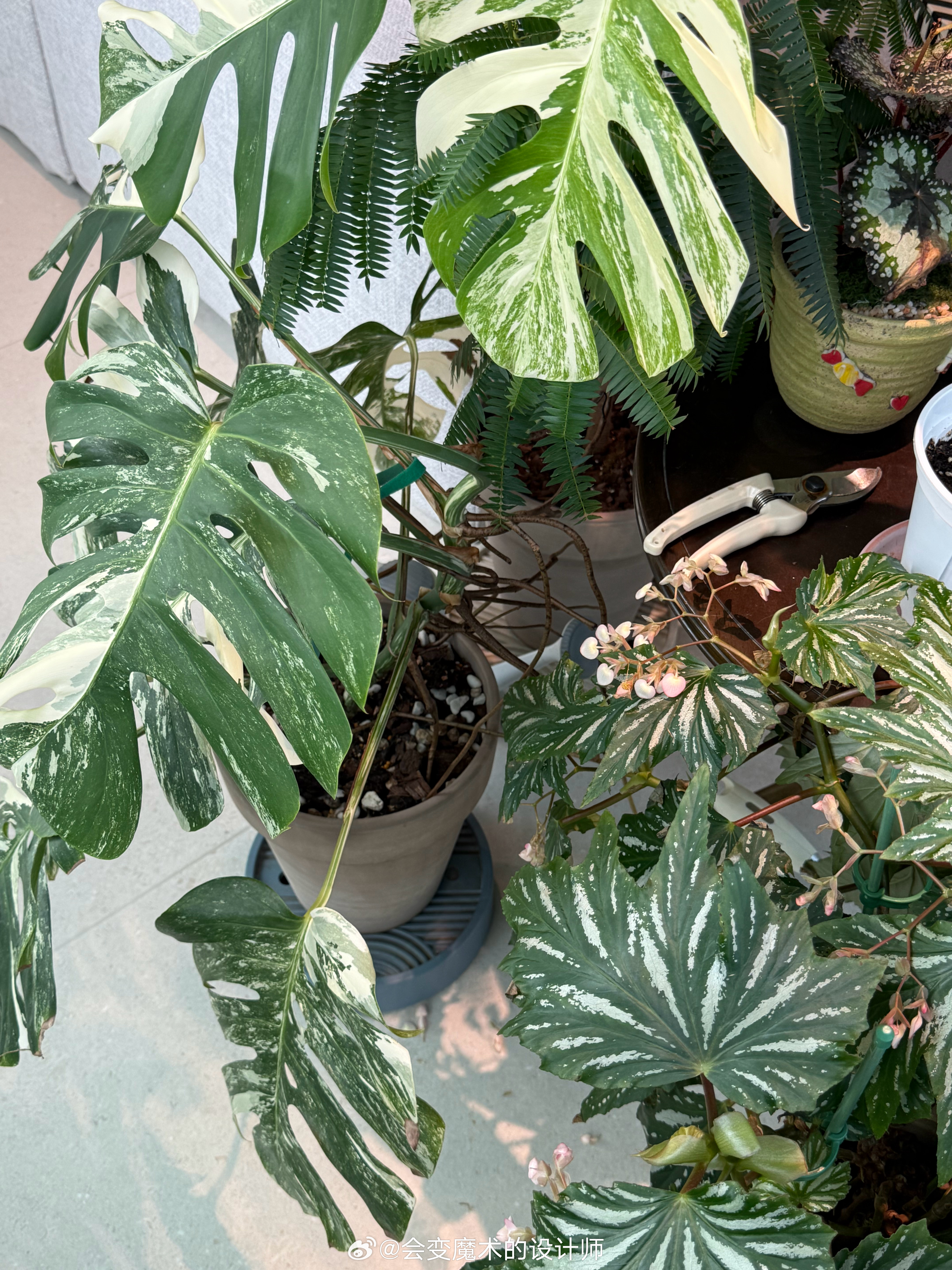 是我喜欢的植物园感觉