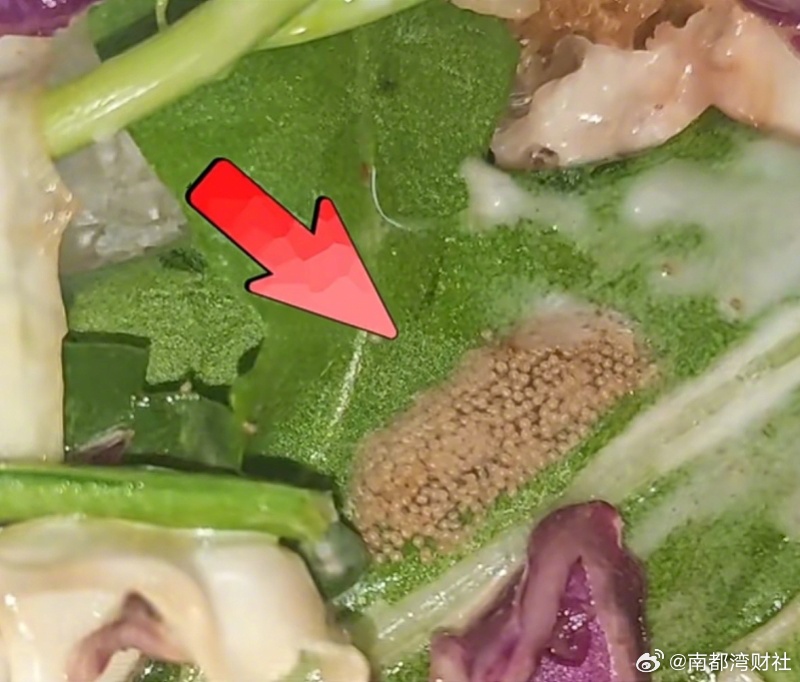 #Wagas门店回应三明治里吃出虫卵#【Wagas被投诉“三明治里吃出虫卵”！品
