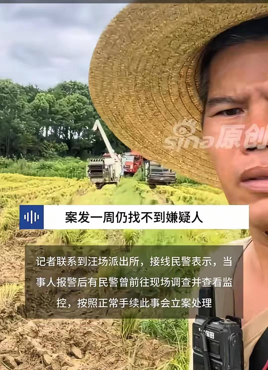 5月21日，40岁谭先生是个老机手，这十几年每年收麦季哪里需要就去哪里找活干，今