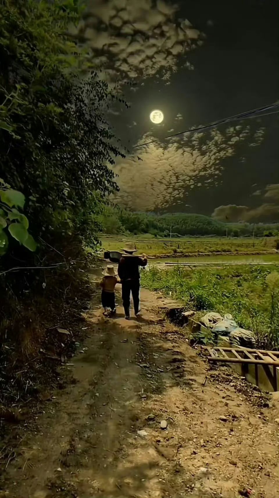 真的感觉小时候月亮是这样的，不用拿手电筒，月亮就能照亮整个村庄 