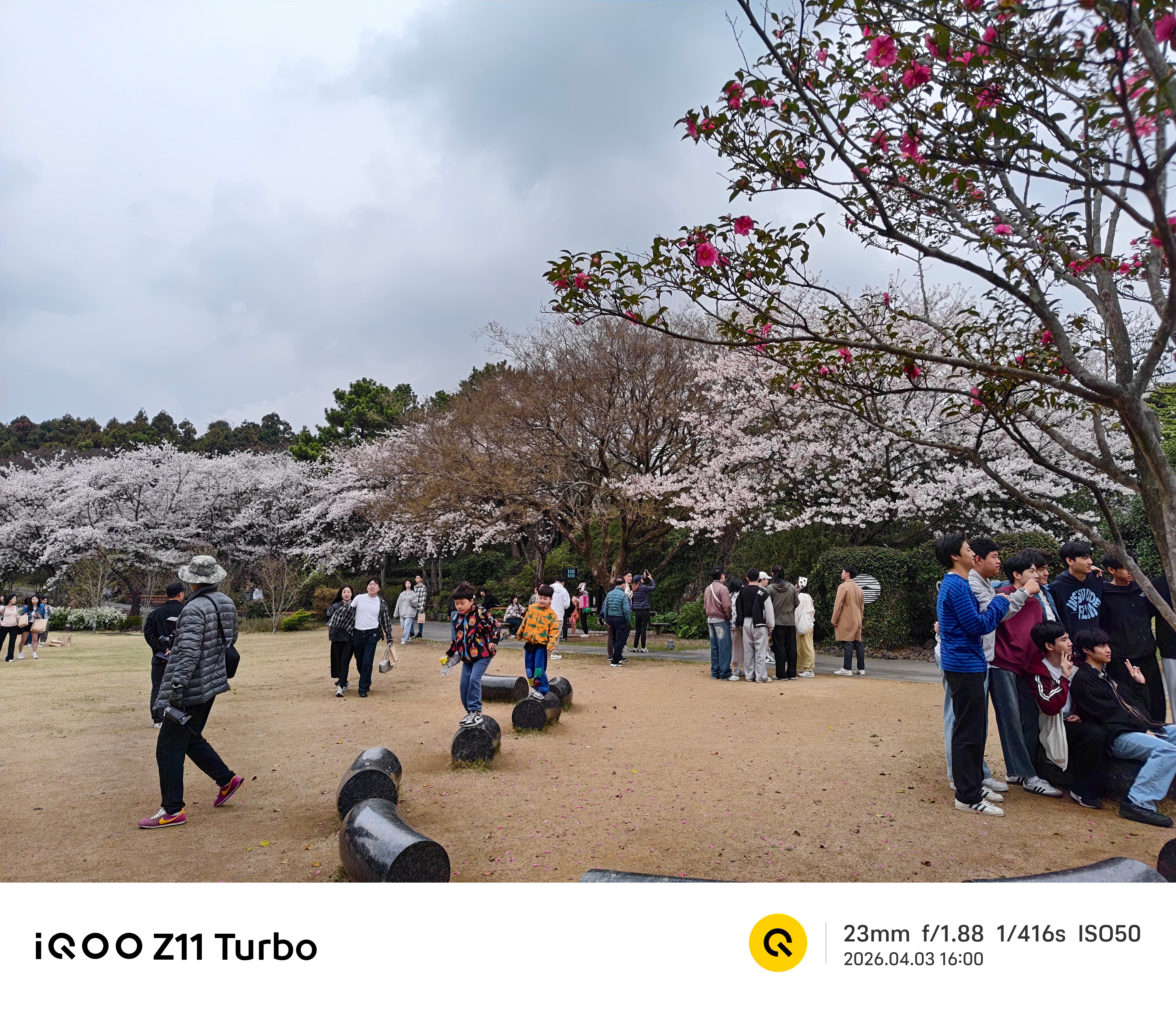 今天的樱花也太美了，欧巴带我去了这家绿茶博物馆感觉人也好人太多了，旅游旺季来了i