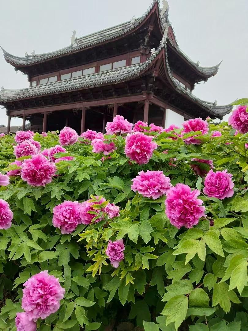 经济越差，反而越赚钱的六类生意：
1、男人天生好色
2、女人焦虑容貌
3、富人贪