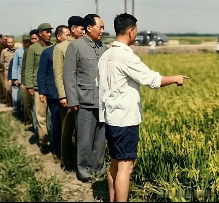 🌾民以食为天，国以民为本！🙏敬爱的毛主席，敬仰您民生情怀，赓续不朽民生箴言！